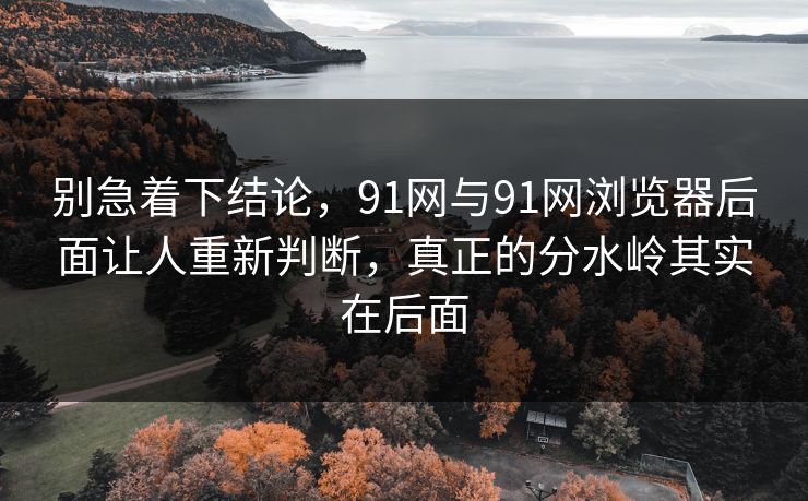 别急着下结论，91网与91网浏览器后面让人重新判断，真正的分水岭其实在后面