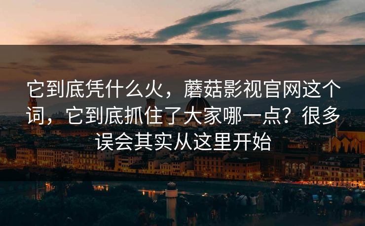 它到底凭什么火，蘑菇影视官网这个词，它到底抓住了大家哪一点？很多误会其实从这里开始