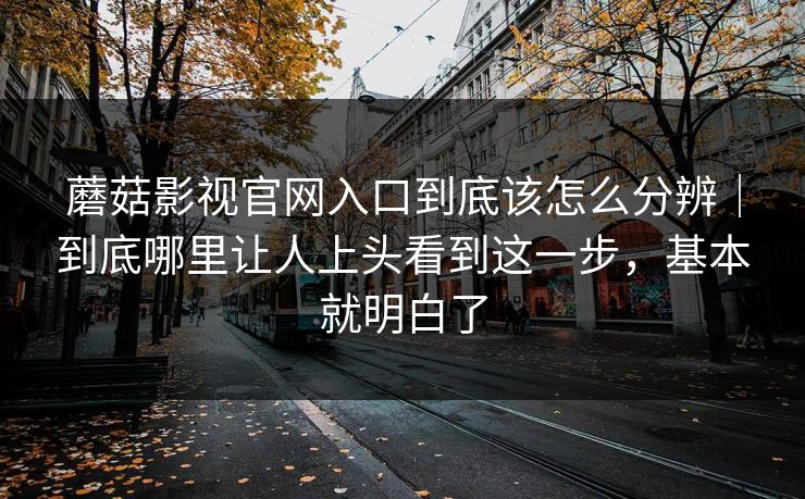 蘑菇影视官网入口到底该怎么分辨｜到底哪里让人上头看到这一步，基本就明白了