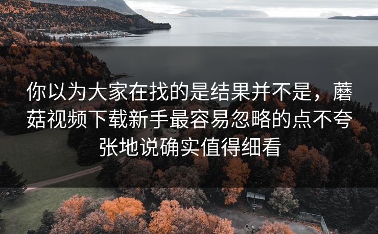 你以为大家在找的是结果并不是，蘑菇视频下载新手最容易忽略的点不夸张地说确实值得细看