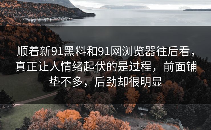 顺着新91黑料和91网浏览器往后看，真正让人情绪起伏的是过程，前面铺垫不多，后劲却很明显