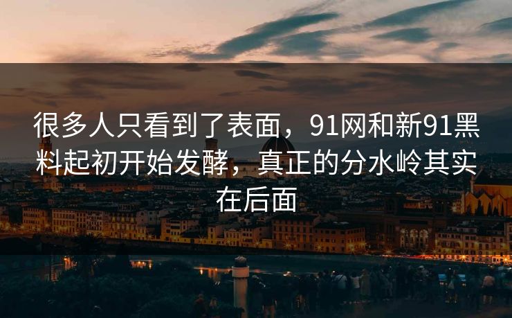 很多人只看到了表面,91网和新91黑料起初开始发酵,真正的分水岭其实在后面 很多人只看到了表面,91网和新91黑料起初开始发酵,真正的分水岭其实在后面