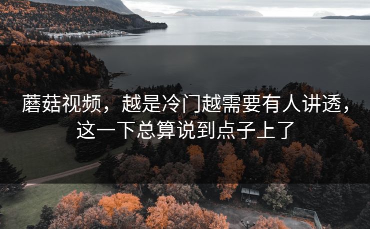 蘑菇视频，越是冷门越需要有人讲透，这一下总算说到点子上了
